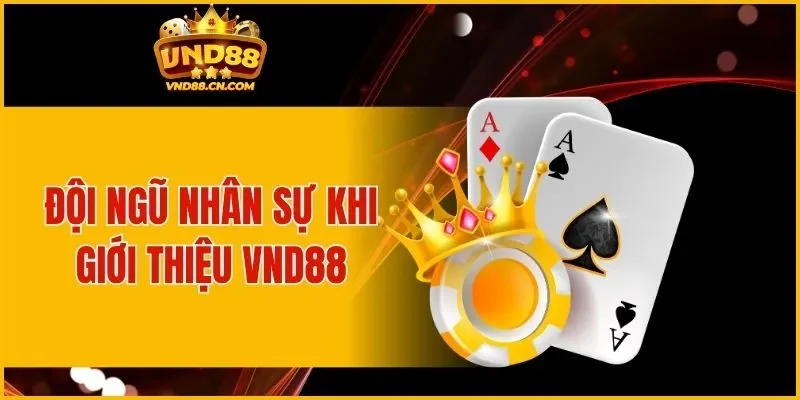 Đội ngũ nhân sự khi giới thiệu VND88