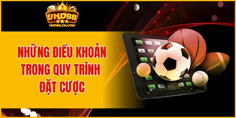 Những điều khoản trong quy trình đặt cược